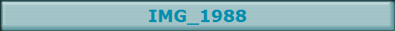 IMG_1988