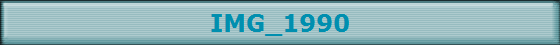 IMG_1990