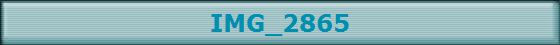 IMG_2865