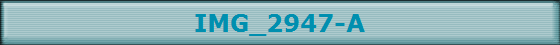 IMG_2947-A